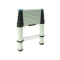 Telescopic 3.8m Ladder