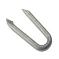 Forgefix Netting Staple Galvanised 25mm
