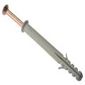 Forgefix Frame Fixing & Plug M8 X 80 Bag 10