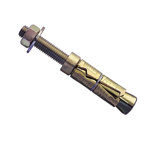 Rawlplug Plated Rawlbolt M20 30p