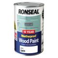 Ronseal 10 Year Weatherproof Wood Paint White