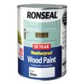 Ronseal 10 Year Weatherproof Wood Paint White