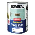Ronseal 10 Year Weatherproof Wood Paint White